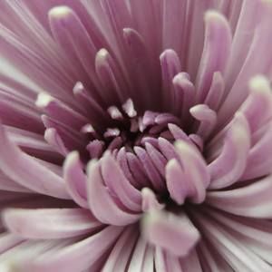 Meet your Posher, Kathryn